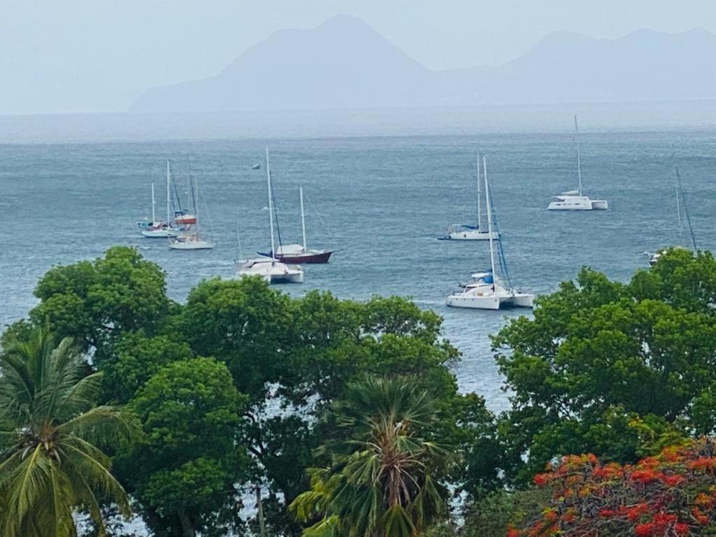 Appartement Les Pieds Dans L'Eau Sainte-Anne Bagian luar foto